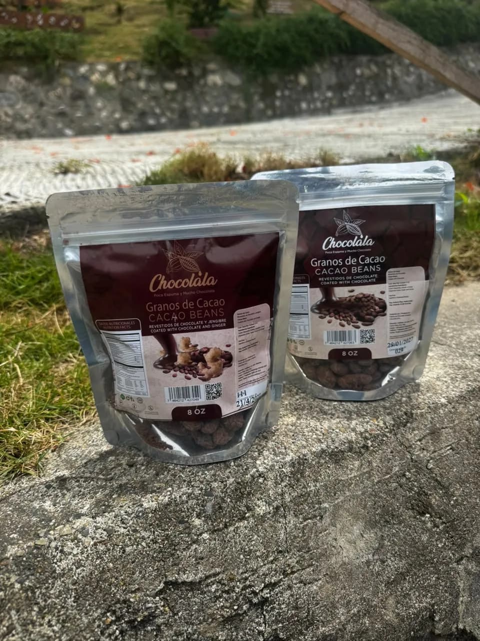 Granos de Cacao Revestidos con Chocolate — Con Jengibre 2