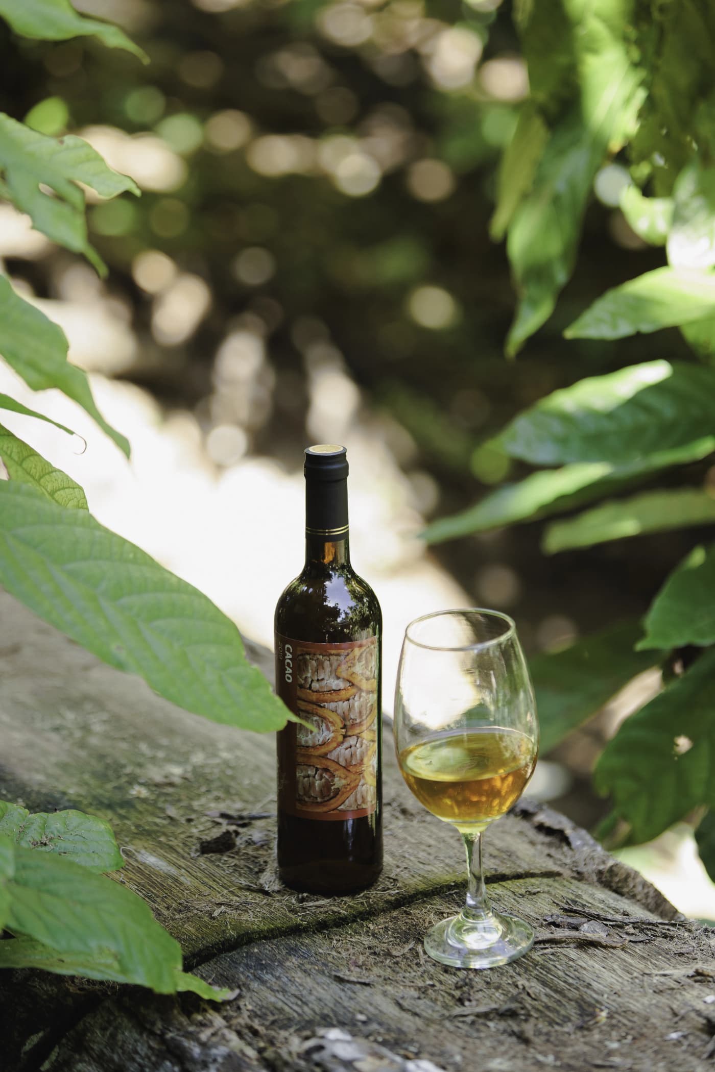 Vino de Cacao 1