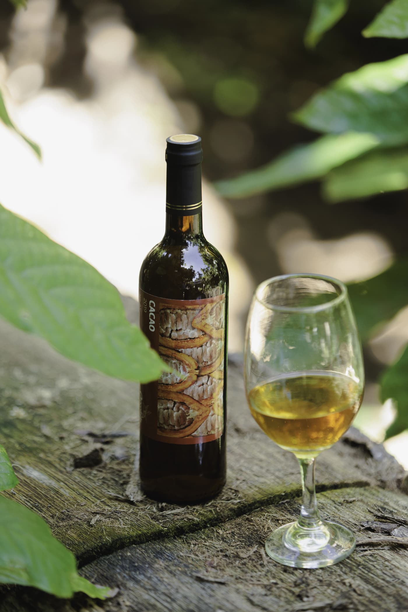 Cacao Wine 4