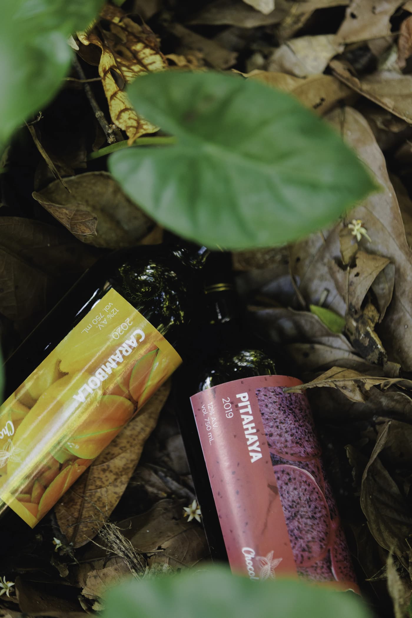 Vino de Carambola 4