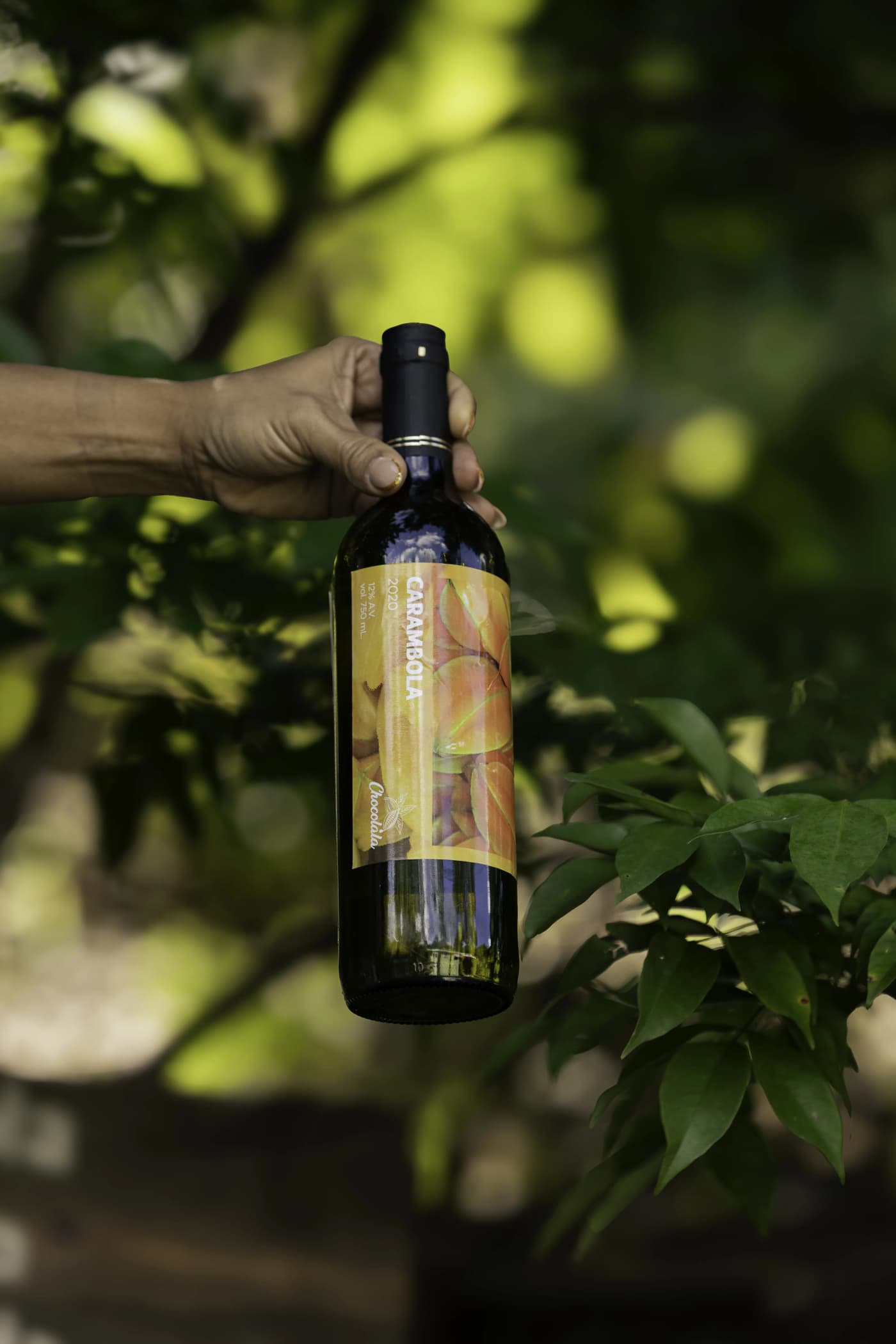 Starfruit Wine 1