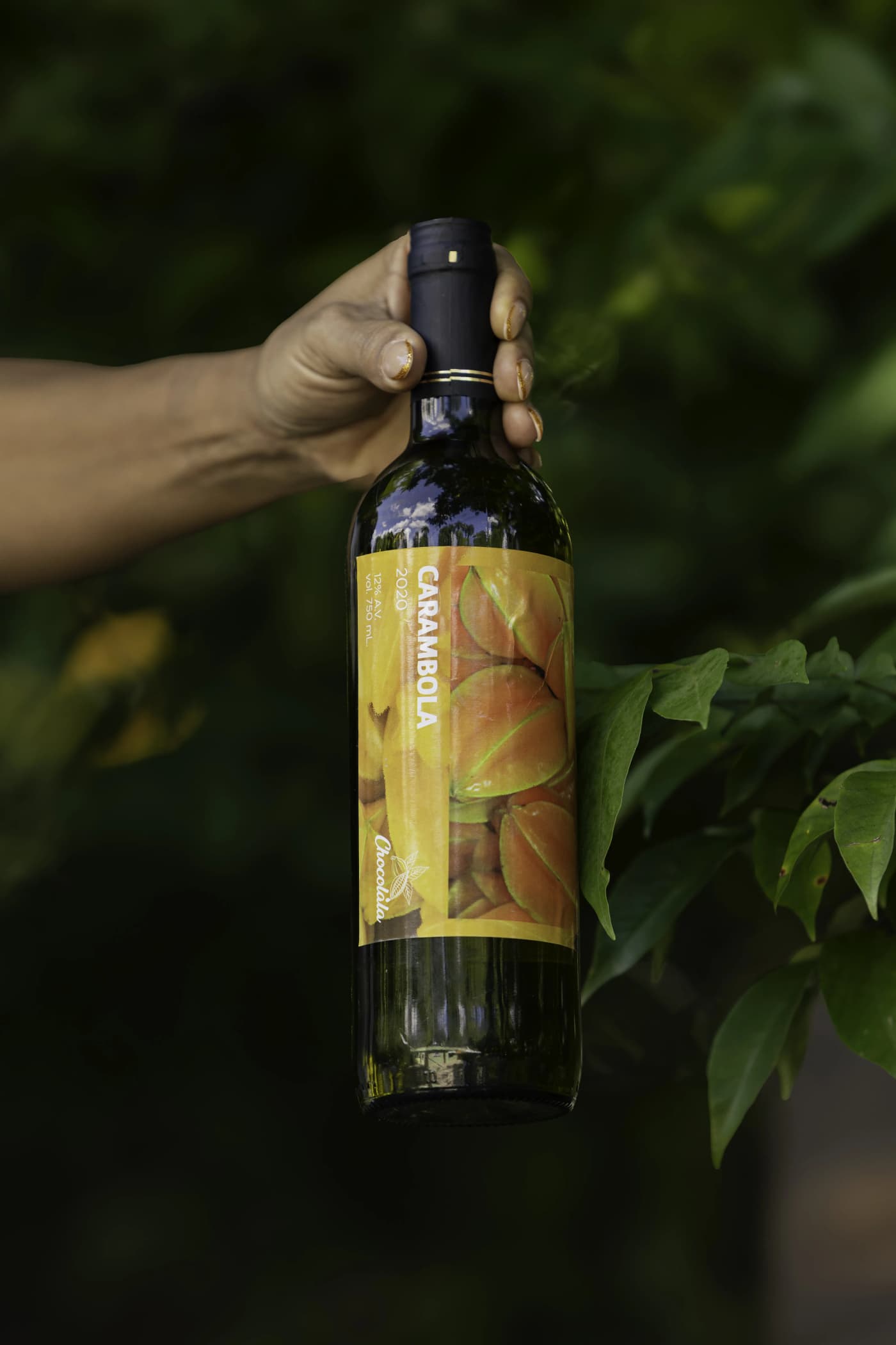 Vino de Carambola 2