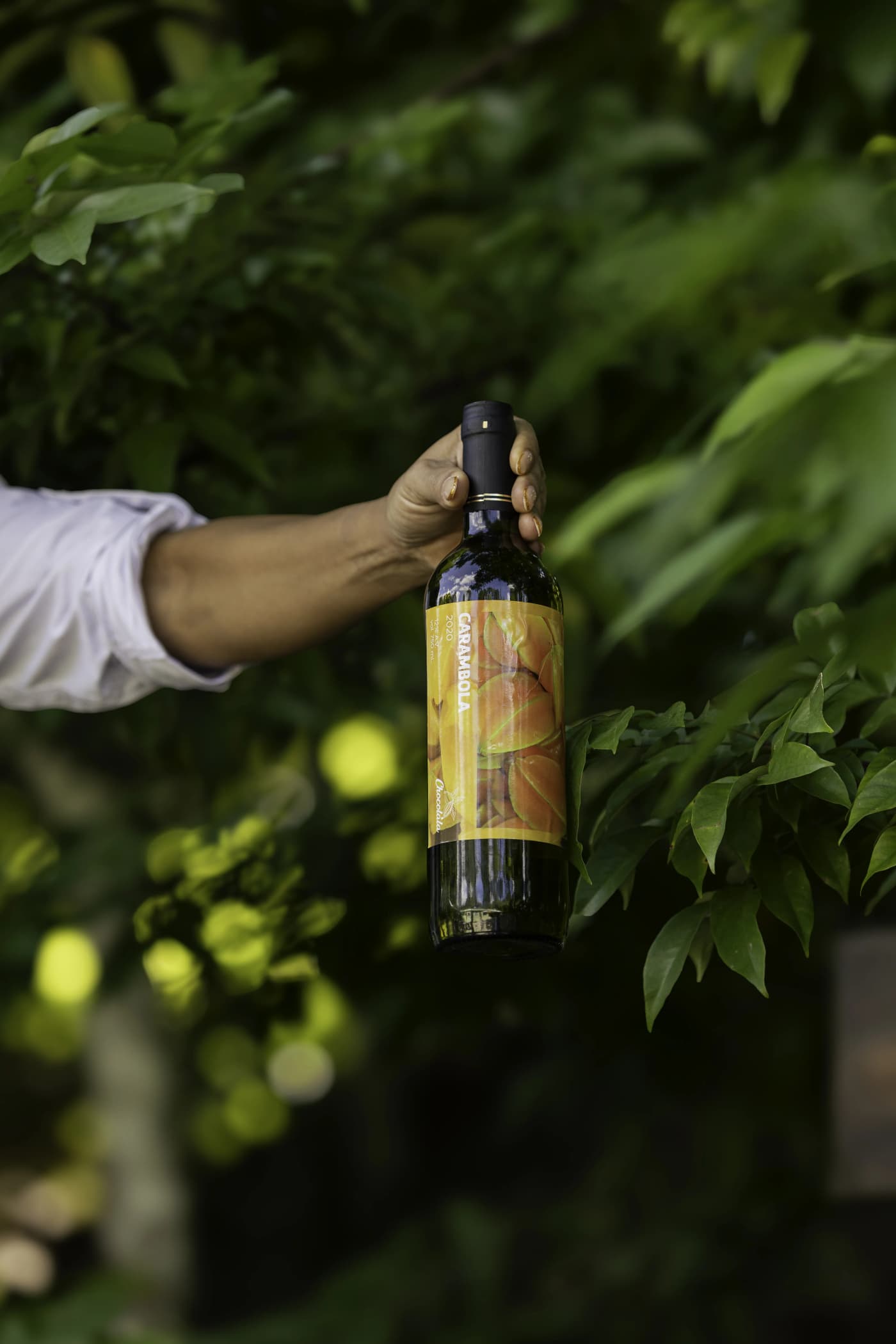 Vino de Carambola 3