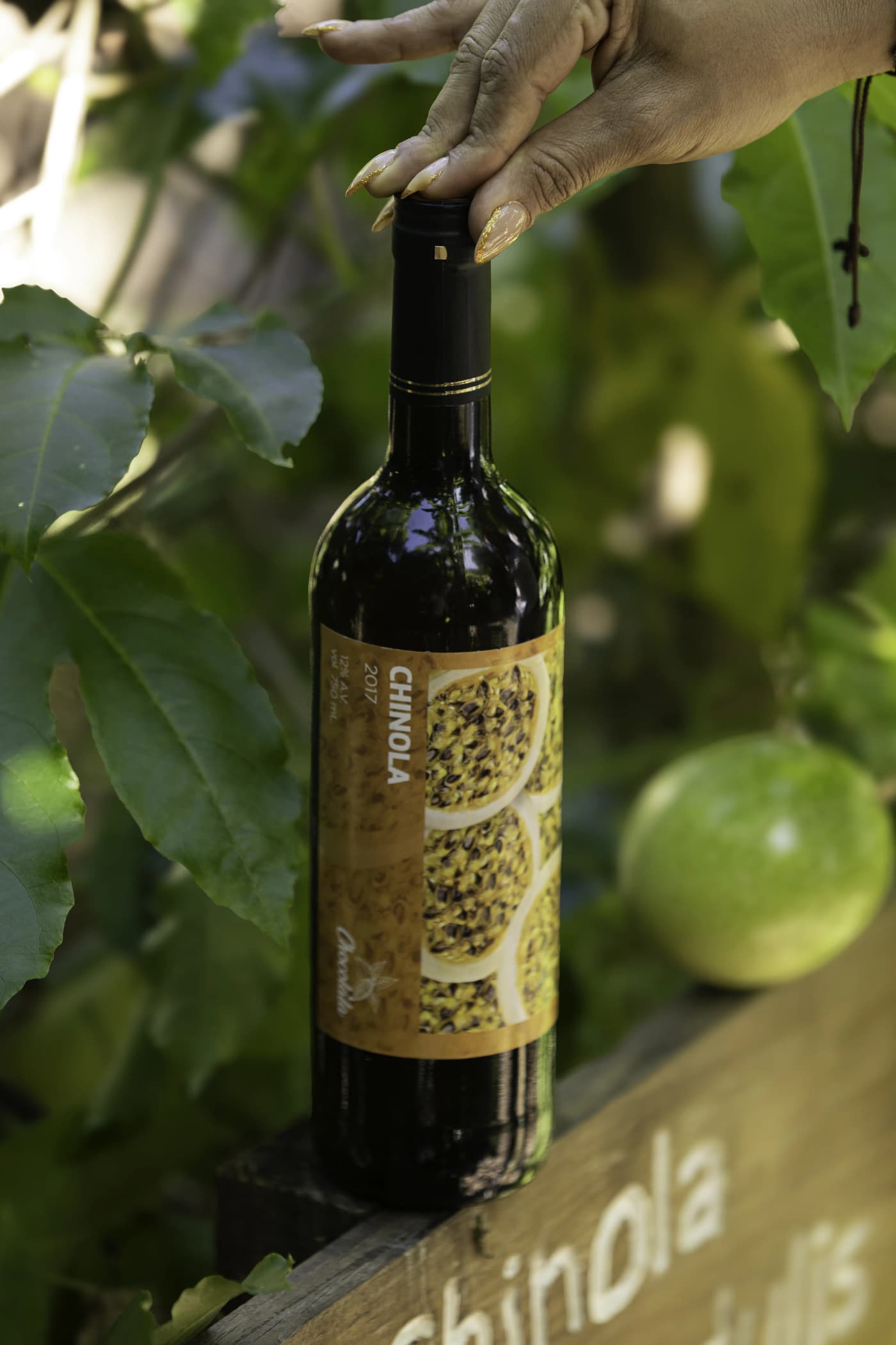Vino de Chinola 3
