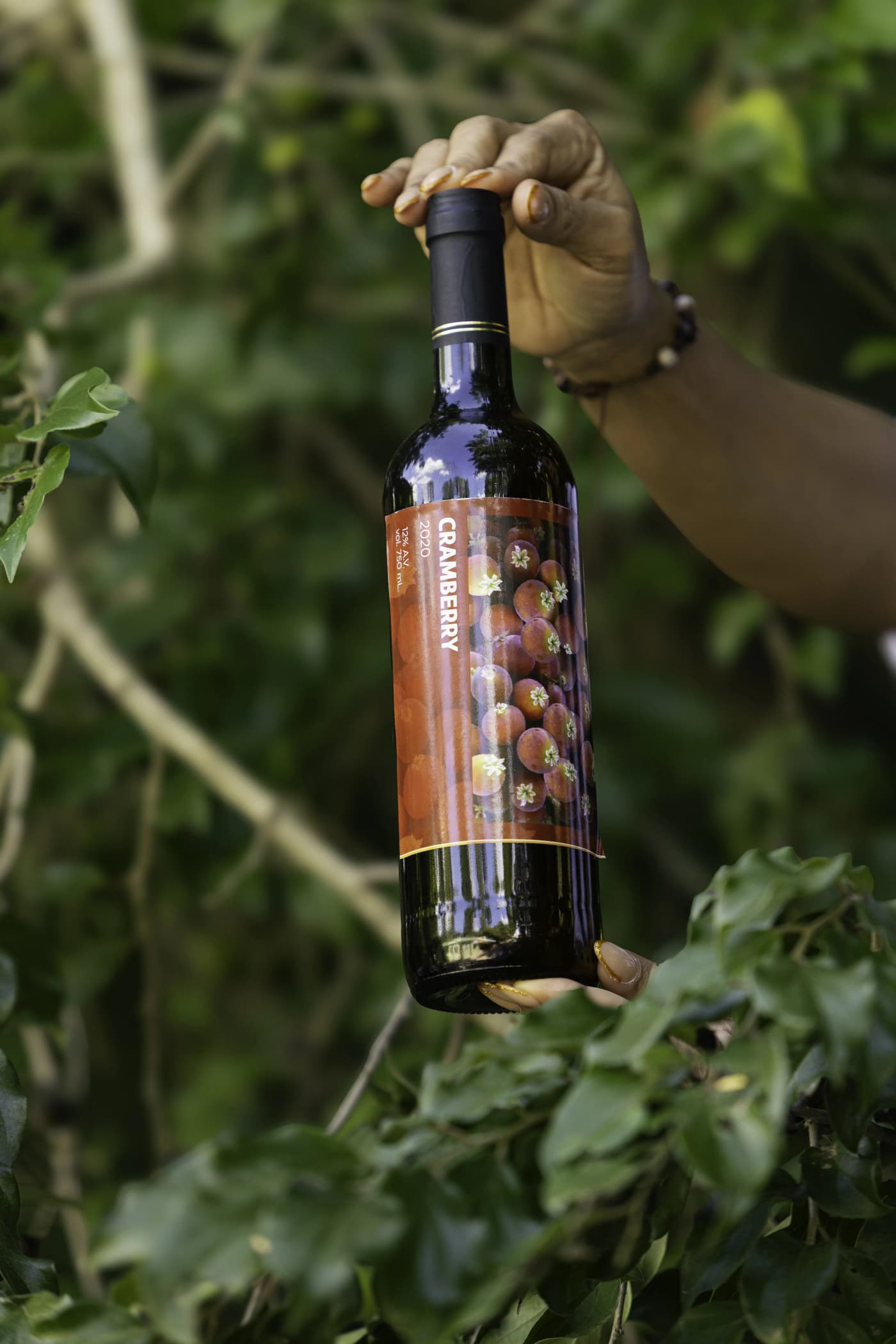 Vino de Cramberry 3