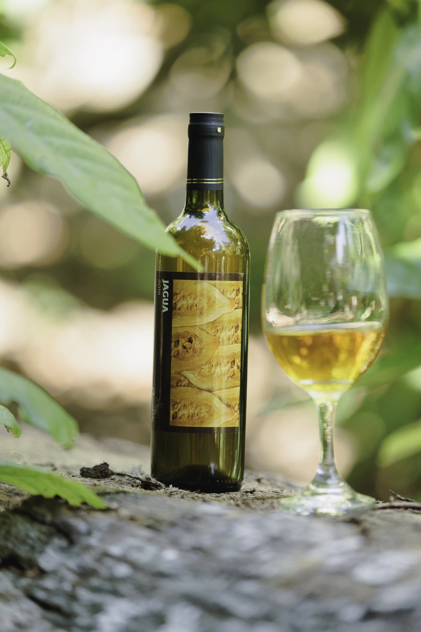 Vino de Jagua 1