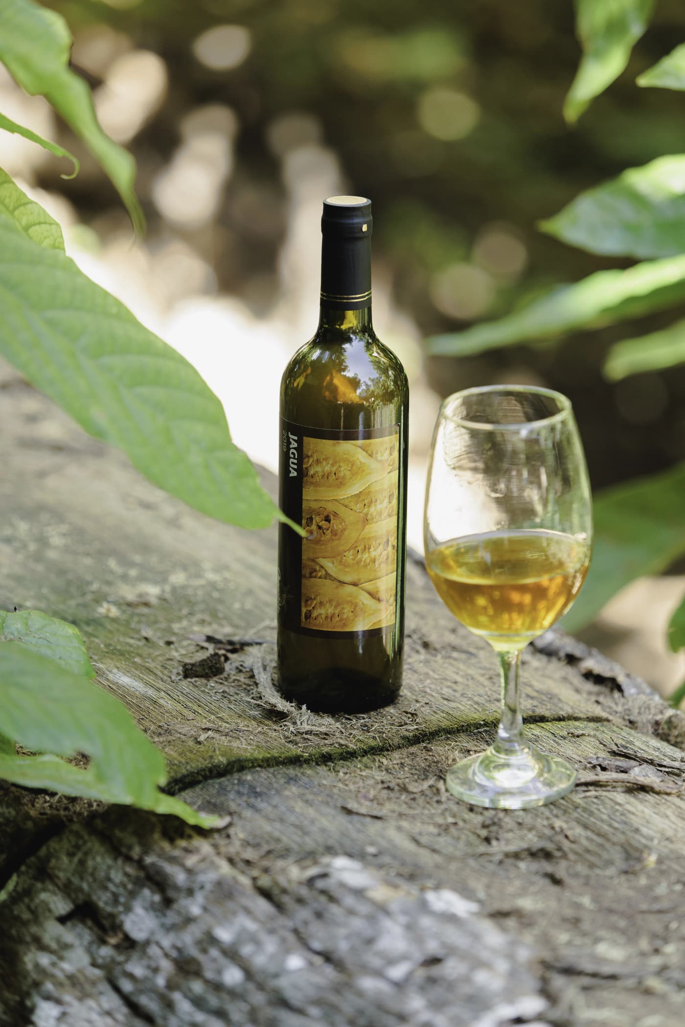 Jagua Wine 2