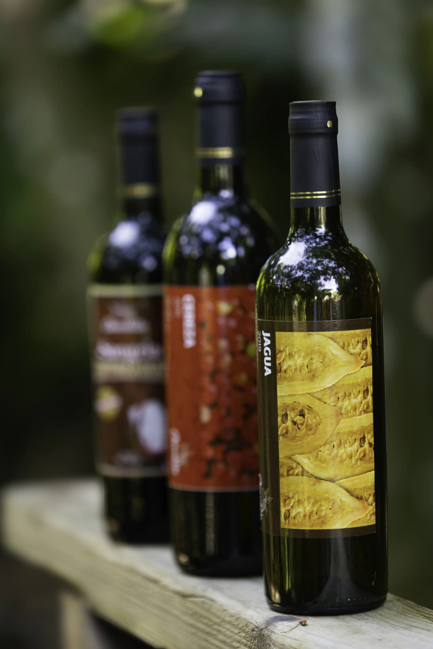 Vino de Cereza 2