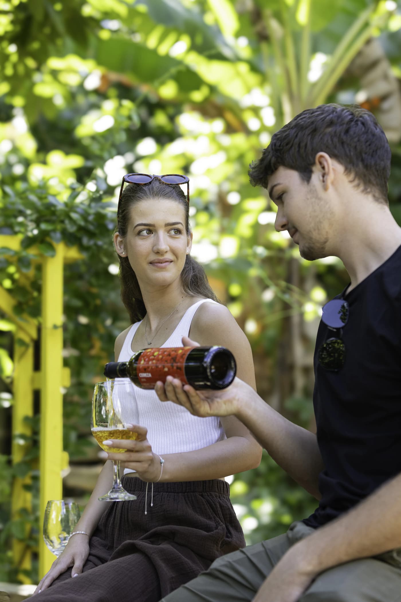 Vino de Cramberry 4