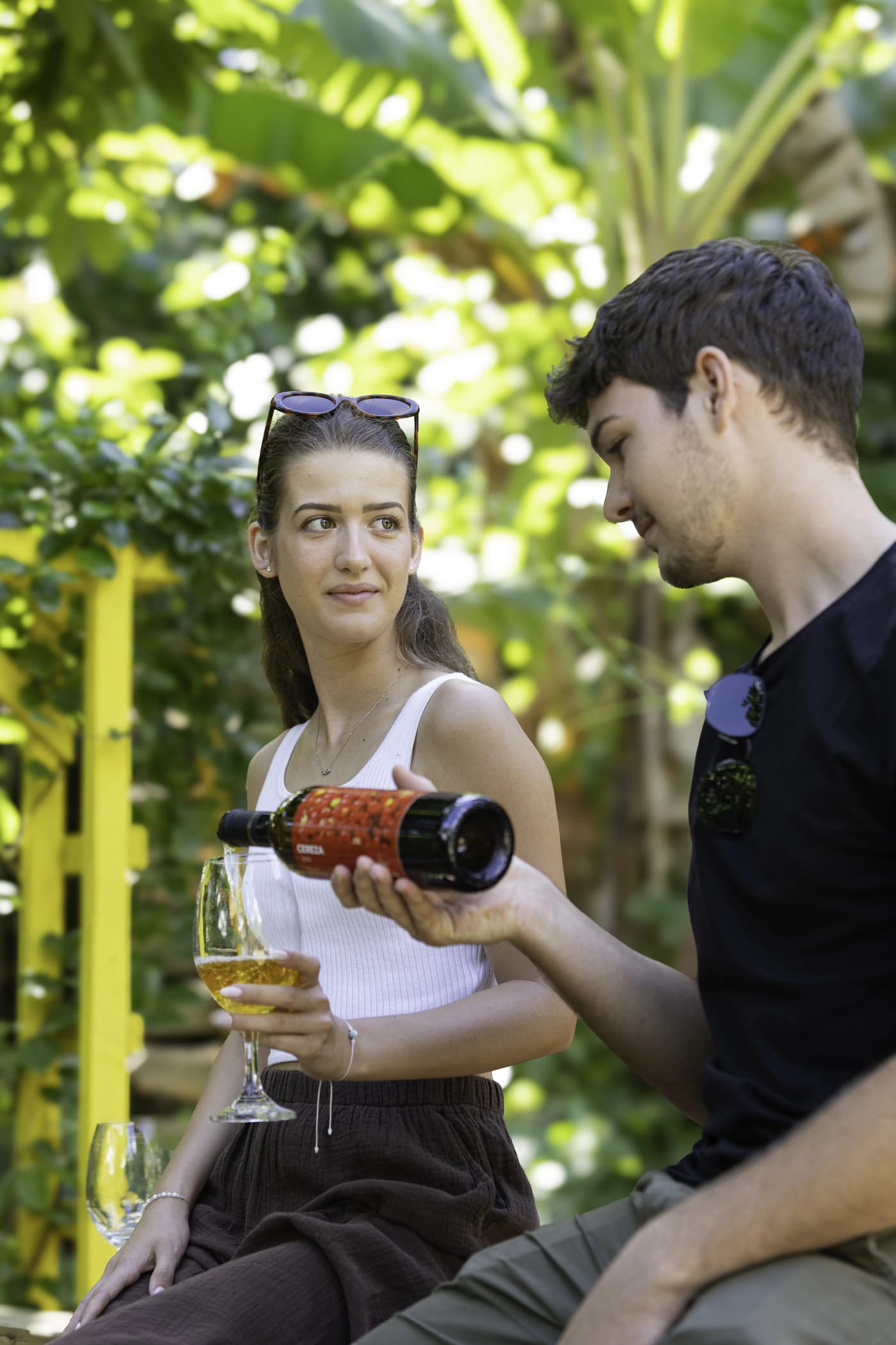 Vino de Pitahaya 4