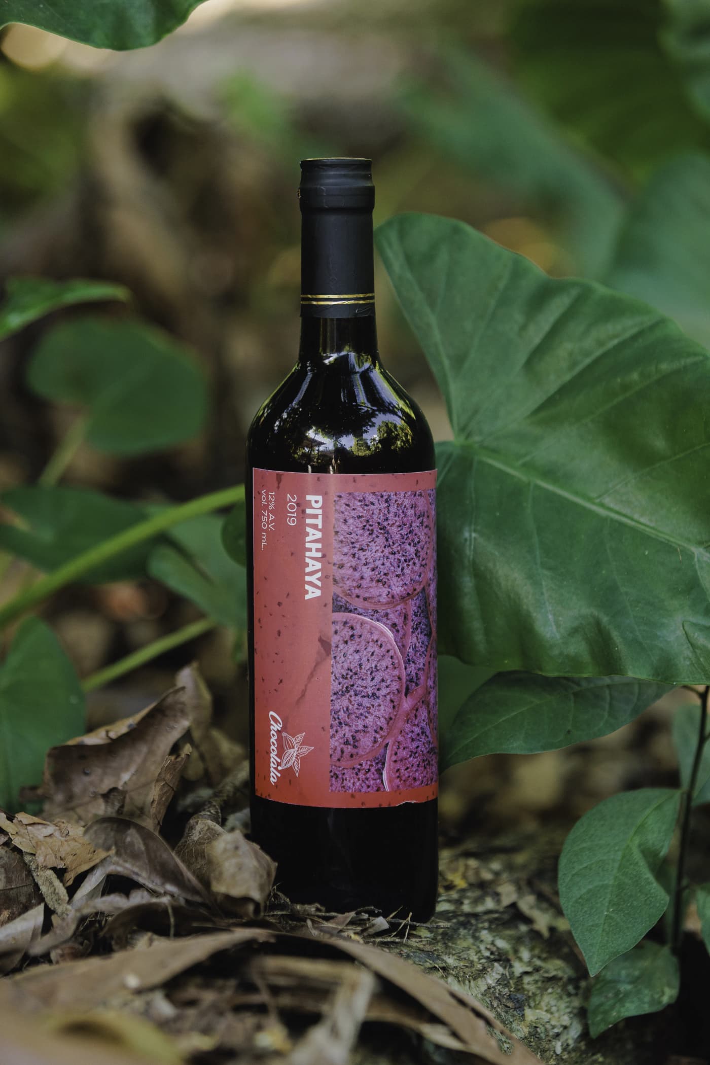 Vino de Pitahaya 2