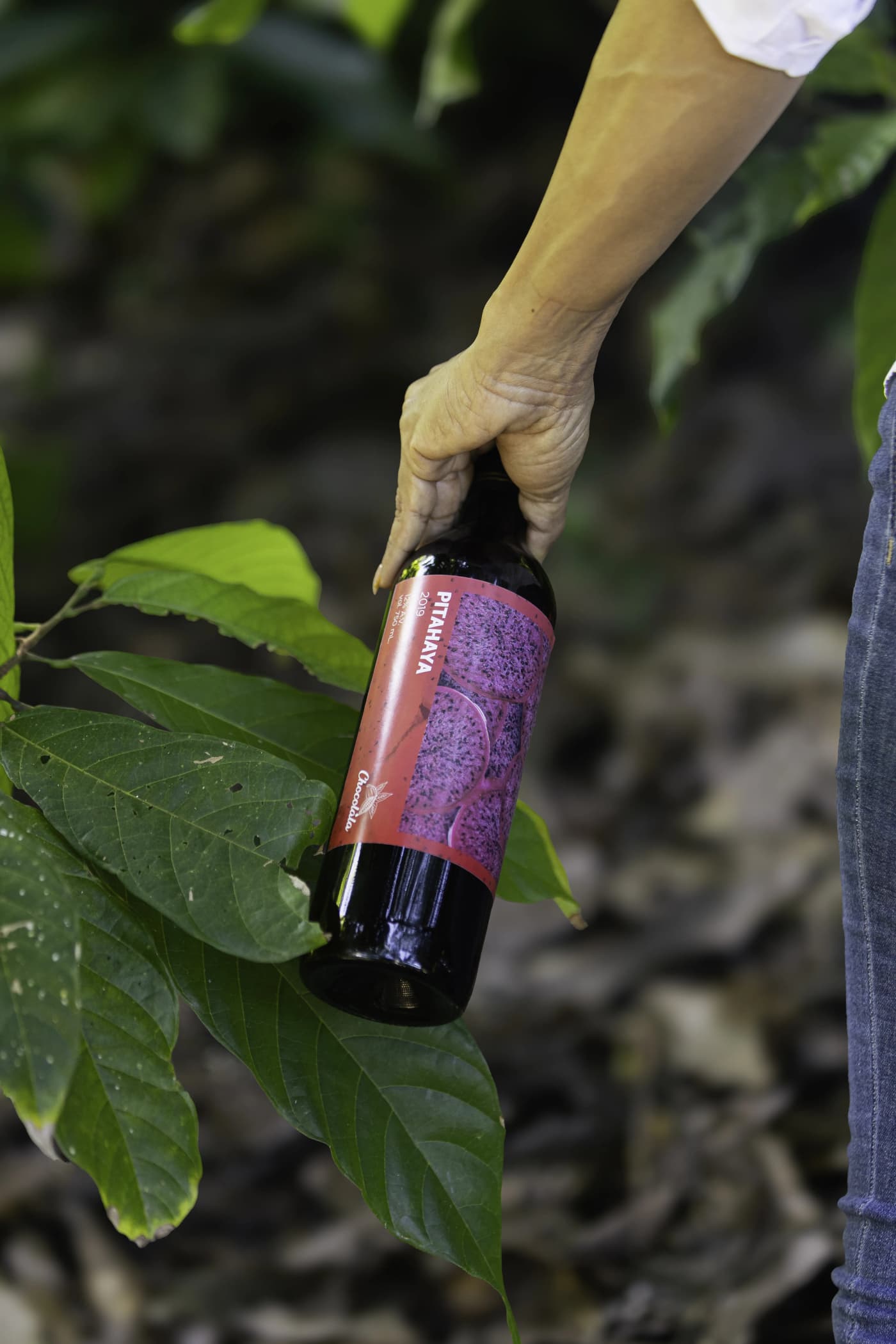 Vino de Pitahaya 3
